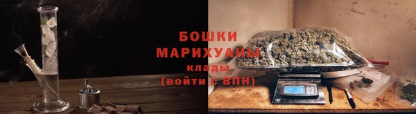 дурь Богданович