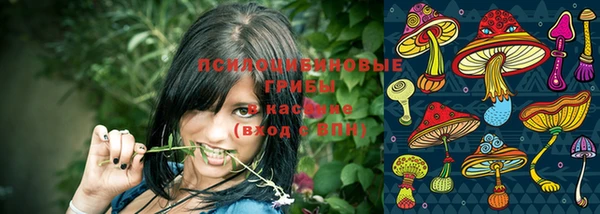 синтетический гашиш Богородицк