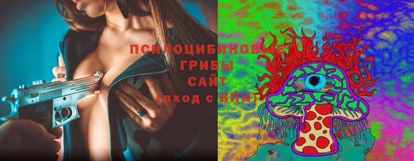 дурь Богданович