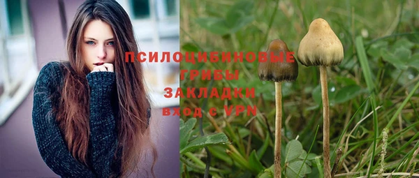 дурь Богданович