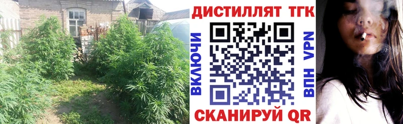 Дистиллят ТГК вейп Новый Уренгой